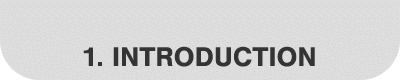 1  Introduction